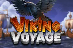 Viking Voyage